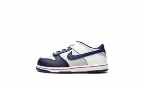Health-promoting special Dunk Low TD "Nets" Todays Must-Grab Curated Just For You