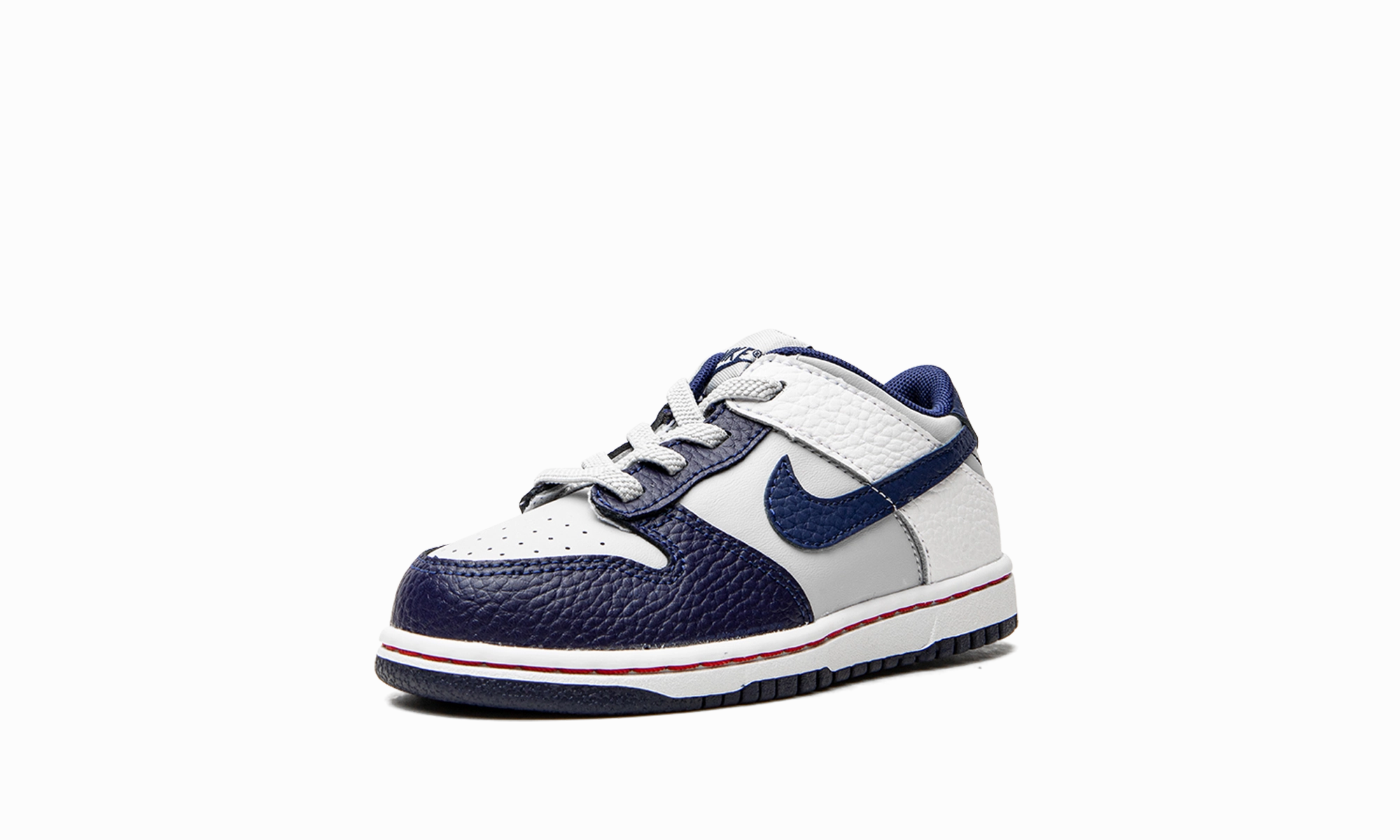 Exclusive Drop, Unisex Laptop Backpack Dunk Low TD "Nets"