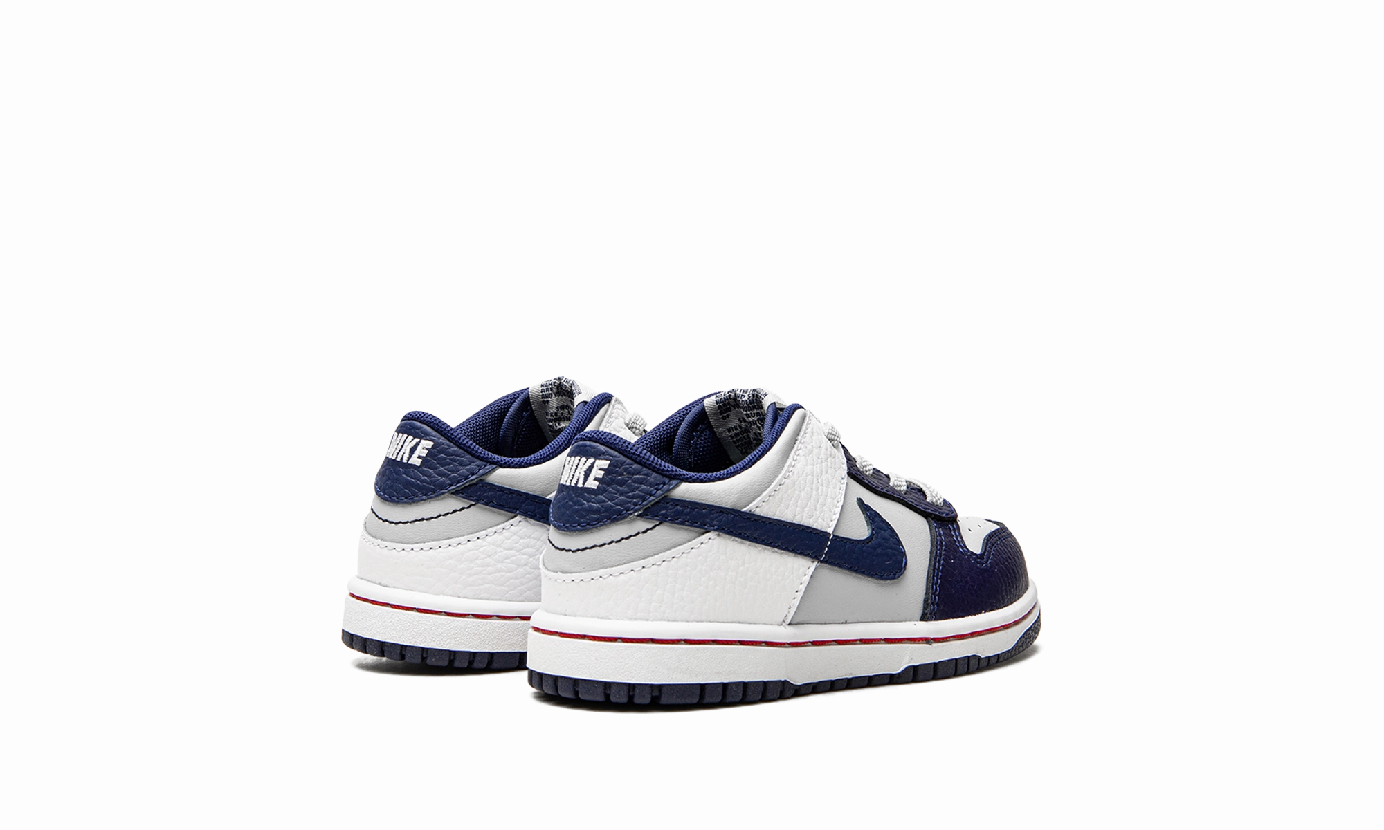 Explore The Collection Dunk Low TD "Nets"