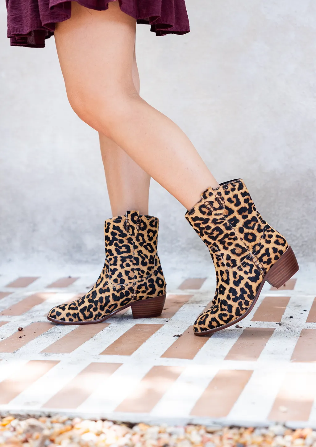 LAURYN - LEOPARD