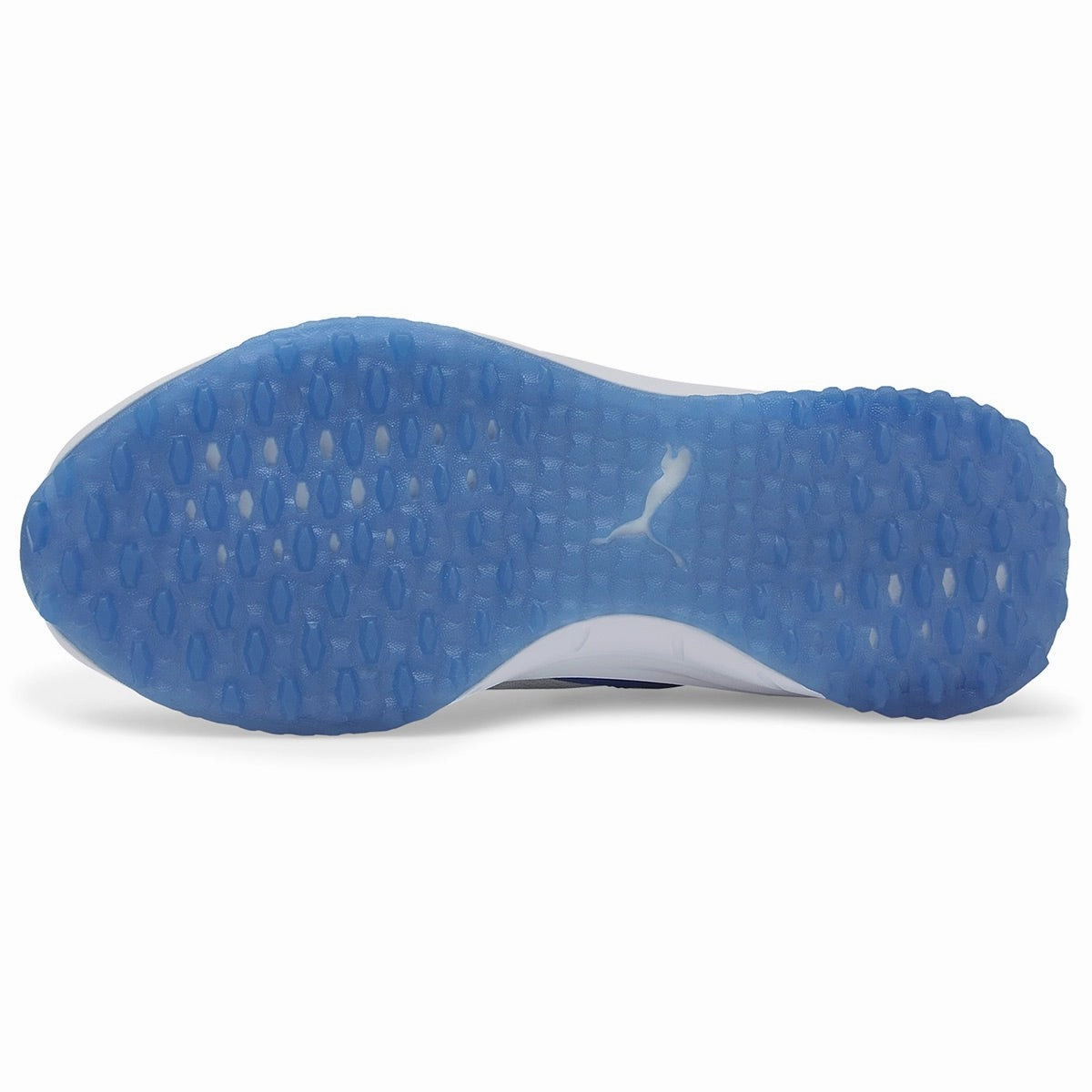 Affordable Luxury Puma Fusion Evo Golf Shoes 193850