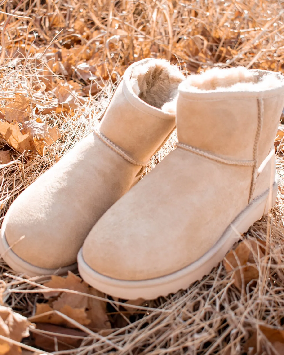 UGG: Classic Mini II in Mustard Seed
