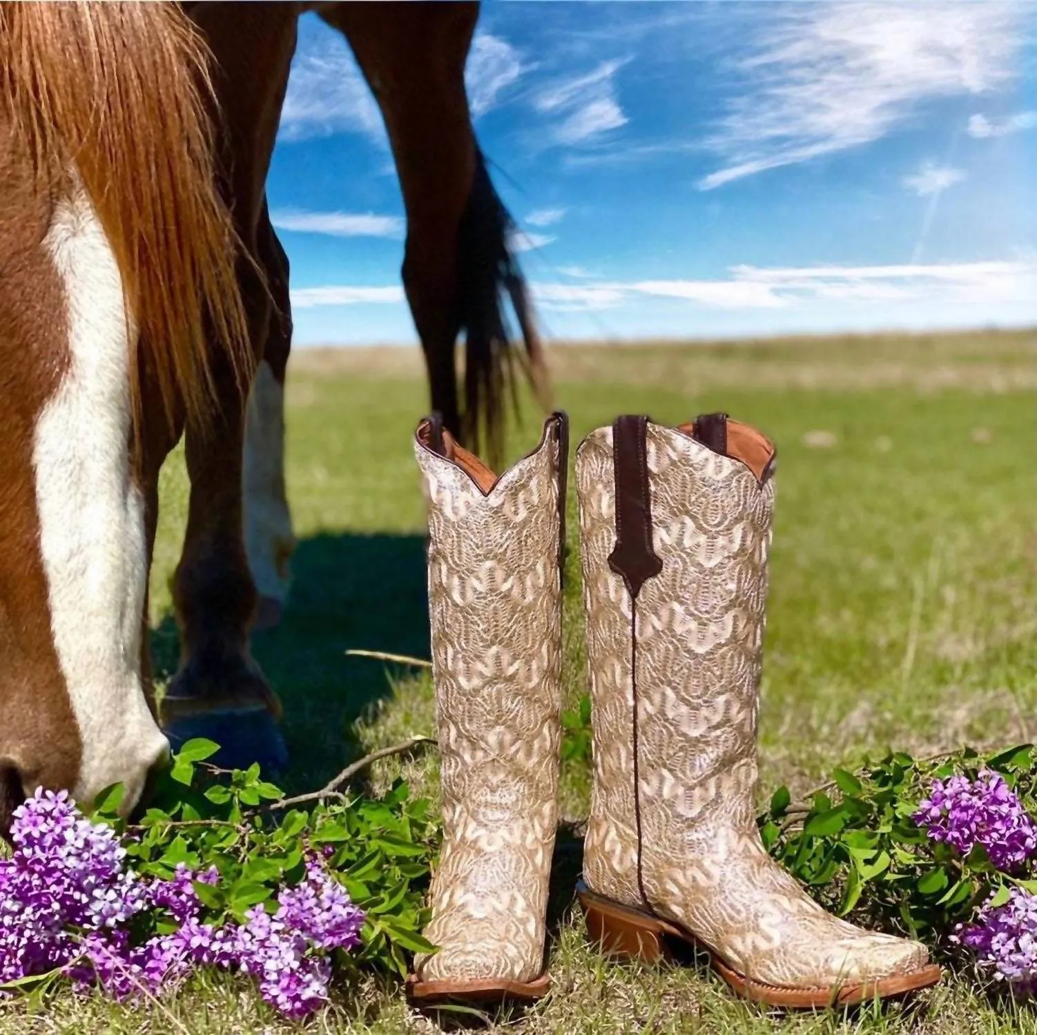 Women's Shimmer In Lace Boots* In Beige Leather